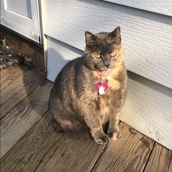 ๐๐๐LULUโS BIRTHDAY BUNDLE!!!๐๐๐ - Picture 4 of 8